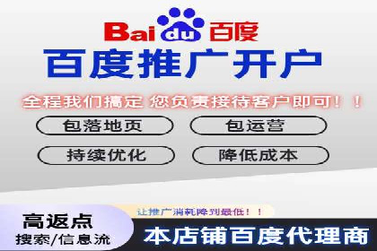 百度推广的ROI优化：成功企业案例解析